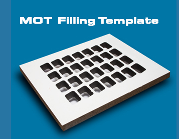 MOTTemplate2